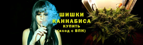 трава Вязьма